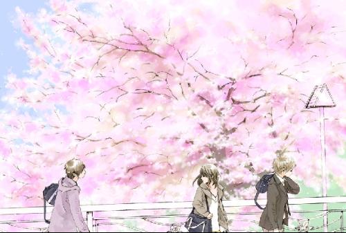 雏鸟app网页版